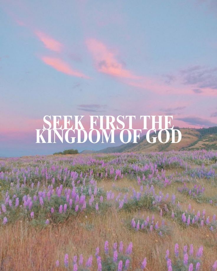 “Seek First the Kingdom of God” Over a Purple Field visual reference