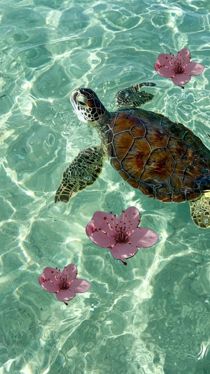 Editorial Travel And City Visual Inspiration for Aesthetic Collection | Shopmenall Image 098
