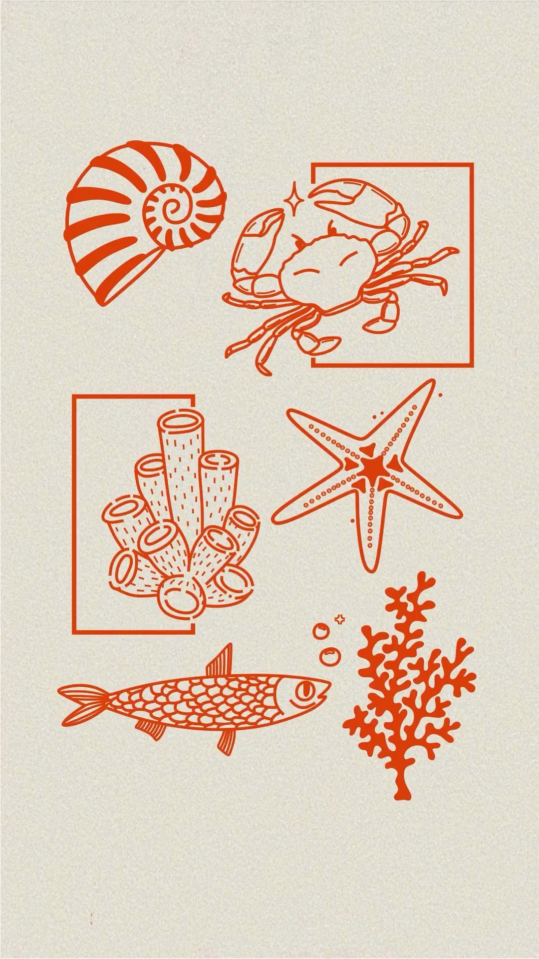 Orange Marine Line Art: Shells, Crab, Coral, Fish, and Starfish visual reference