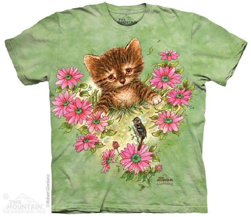 Placeholder