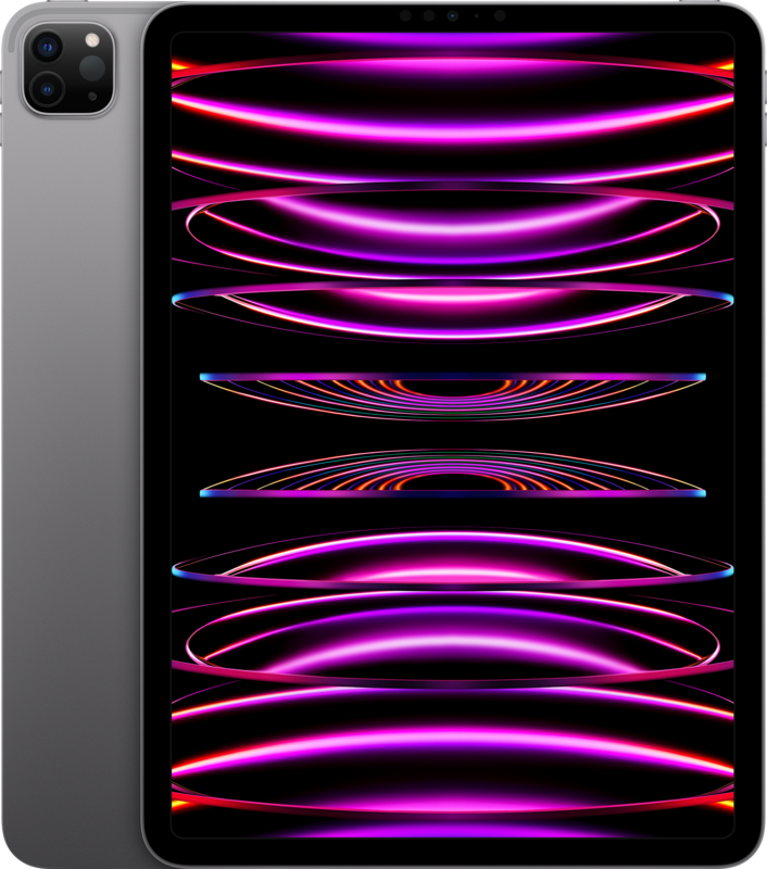 Apple iPad Pro (2022) 11 inch 2TB Wifi Space Gray