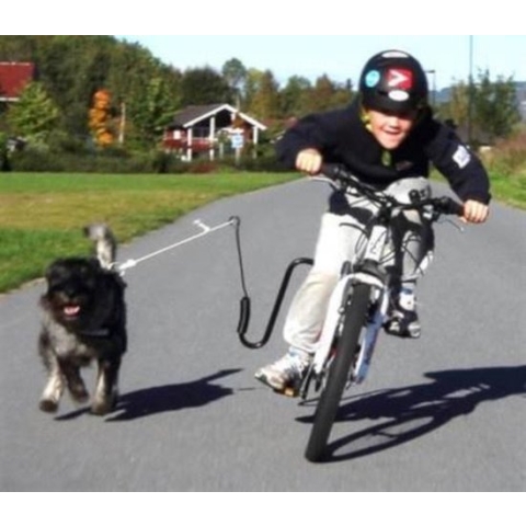 SPRINGER Hondenfietsbeugelset