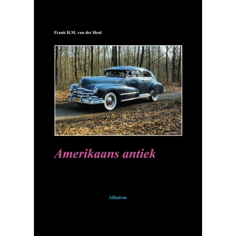 Amerikaans antiek (Paperback)