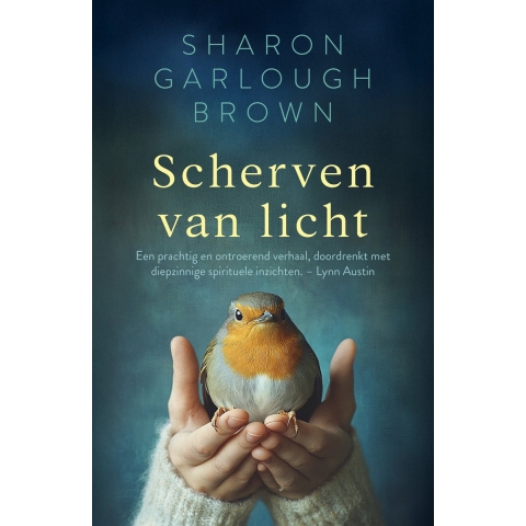 Scherven van licht (Paperback)