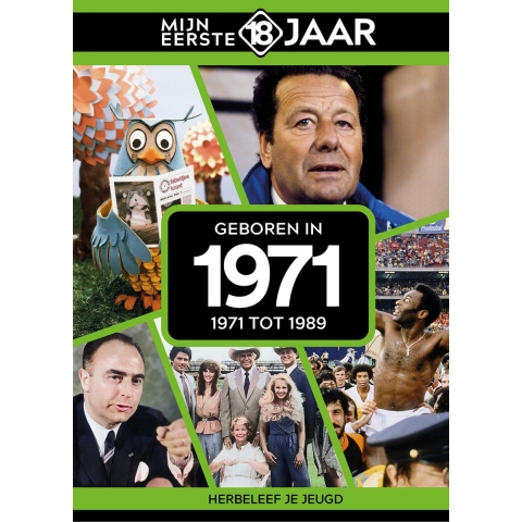 Geboren in 1971 (Hardback)