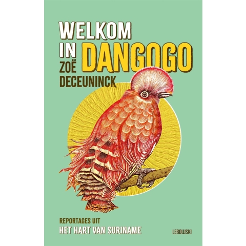 Welkom in Dangogo (Paperback)
