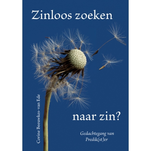 Zinloos zoeken naar zin? (Paperback)