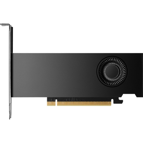 PNY Nvidia GeForce RTX 2000 Videokaart ADA 16 GB GDDR6-RAM PCIe x8 Mini-DisplayPort