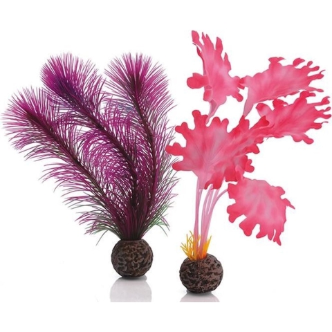 Zeewier set klein pink - Biorb