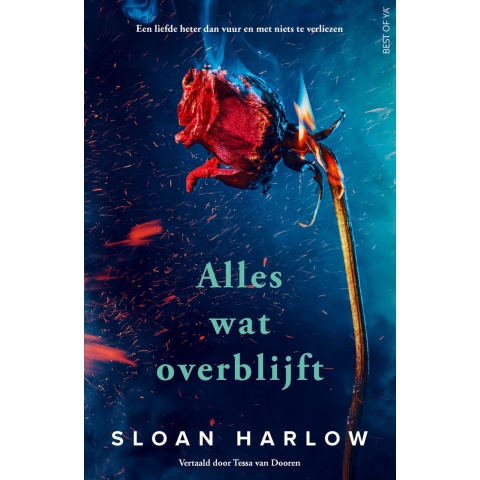 Alles wat overblijft (Paperback)