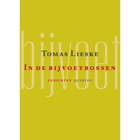 In de bijvoetbossen (Paperback)
