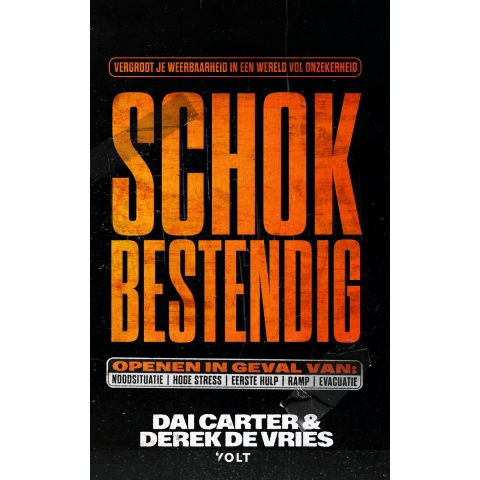 Schokbestendig (Paperback)