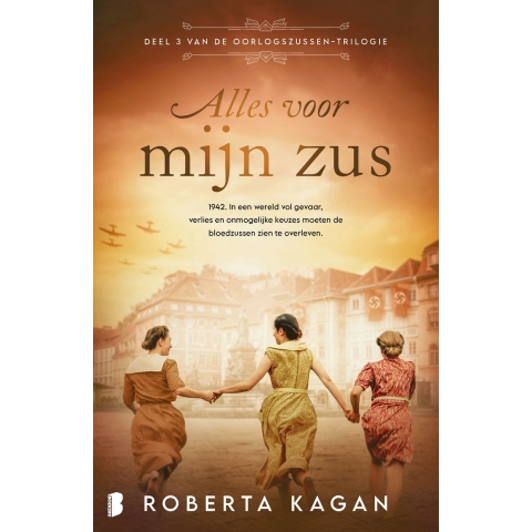 Alles voor mijn zus (Paperback)