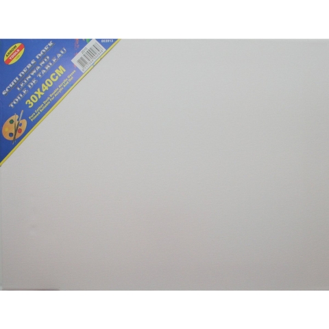 Set van 4x stuks canvas schilders doek 30 x 40 cm zware kwaliteit -