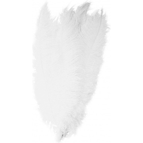 Carnaval verkleed veer/struisvogelveren - 2x - wit - 50 cm - Carnaval - Sierveren/charleston veren -