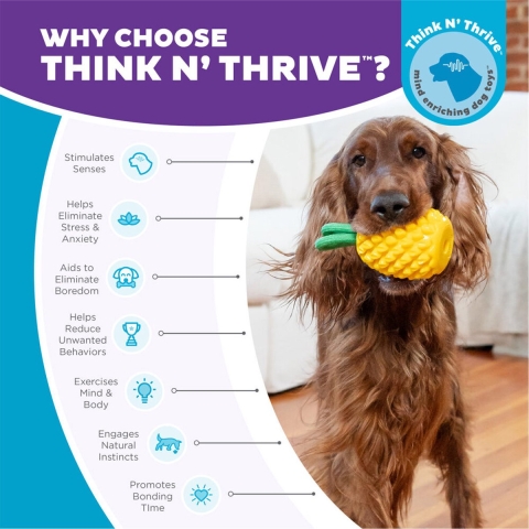 Outward Dental Pineapple TNT Ylw