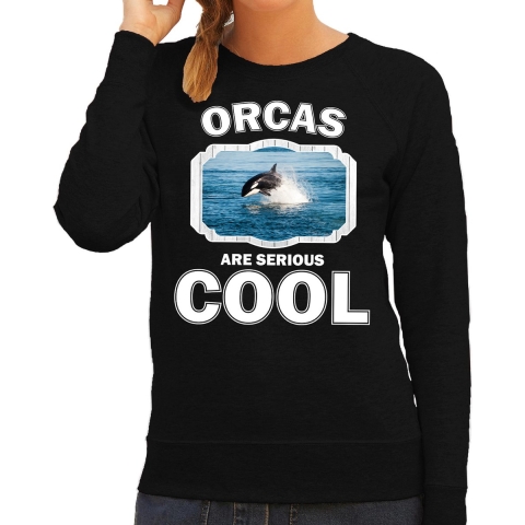 Dieren orka sweater zwart dames - orcas are cool trui XL -