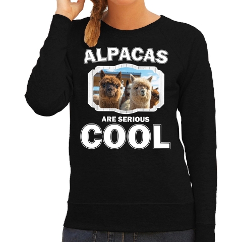 Dieren alpaca sweater zwart dames - alpacas are cool trui 2XL -