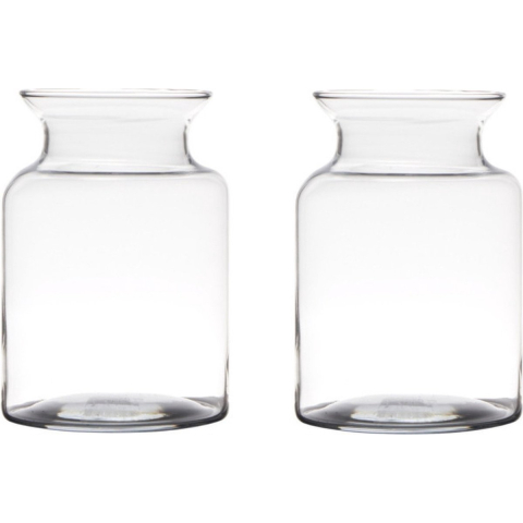 Set van 2x stuks transparante home-basics vaas/vazen van glas 20 x 14 cm -