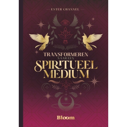 Transformeren naar een spiritueel medium (Paperback)