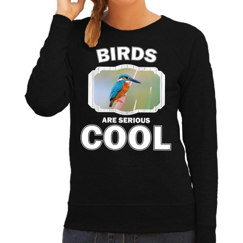 Dieren ijsvogel sweater zwart dames - birds are cool trui XL -