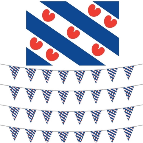 Friesland versiering set met vlag + 4 vlaggenlijnen -