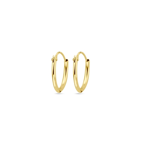 The Jewelry Collection - Oorringen Ronde Buis - Goud