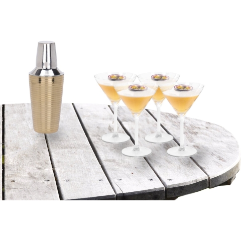 Cocktailshaker set met 4x stuks Martini cocktailglazen 260 ml -