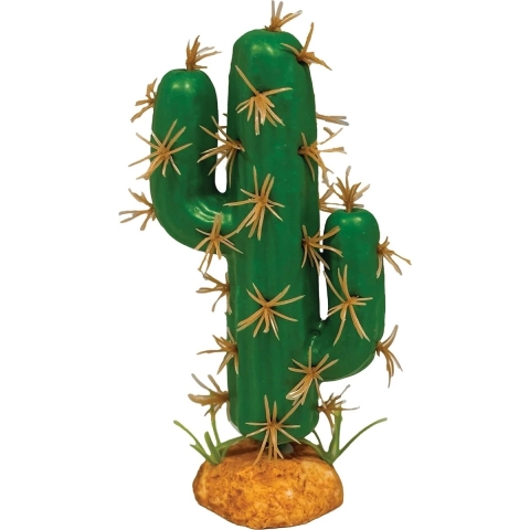 Plant cactus trident xl Repto - Repto