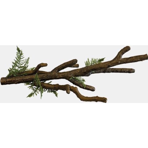 Branch xl Repto - Repto