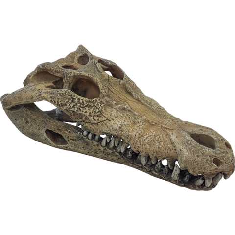 Deco crocodile xxl Repto - Repto