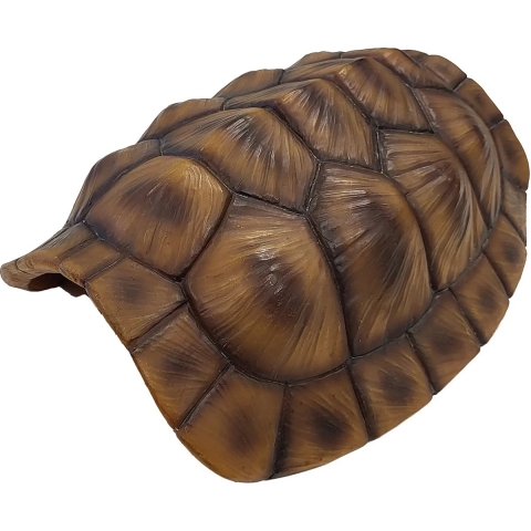 Deco tortoise xl Repto - Repto