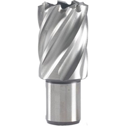 Hikoki Accessoires Kernboor 19X30 Mm - 754408