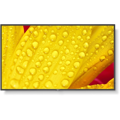 Monitor NEC 60005048 43"4K Ultra HD LED 43"IPS 50-60  Hz