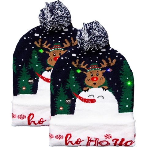 Foute muts - 2x - groen - met LED verlichting - Ho Ho Ho - volwassenen - kerstmuts -