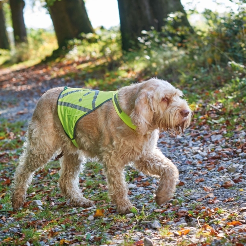 HUNTER Honden-veiligheidsvest Safety, neongeel, Maat: M