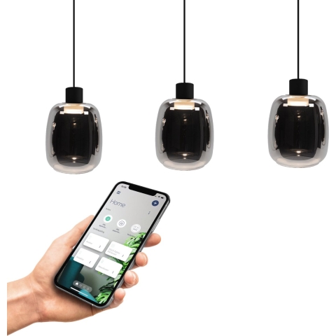EGLO Molochio-Z - Smart Hanglamp - Dimbaar RGB&wit licht - Zwart/Smoke