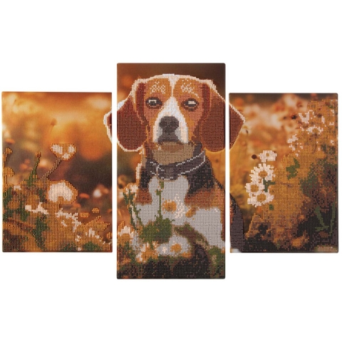 Diamond painting drieluik Hond