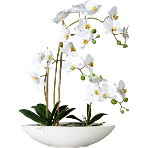 Kopu ® kunstbloem orchidee 60 cm met schaal ovaal phalenopsis