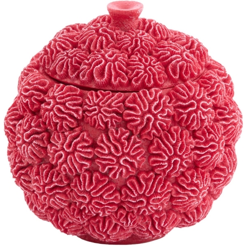 Light & Living deco box+deksel coral Ø17x16cm -