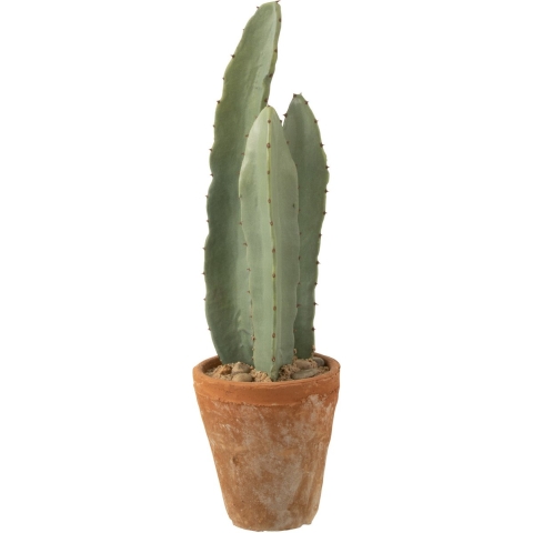 J-Line Cactus 3 parts in pot plastic green small