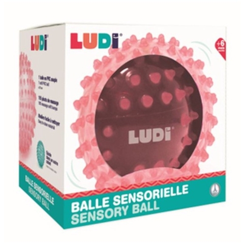 Ludi Zintuigenbal - 20 cm - Roze m. Massageknoppen - Ludi - OneSize - Ballen