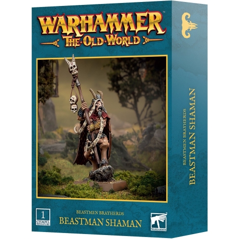 Beeldje Games Workshop Warhammer ToW - Hommes Betes Chamane