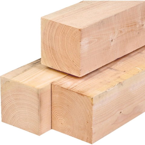 Paal douglas 20,0x20,0x300 cm Tuindeco - Tuindeco