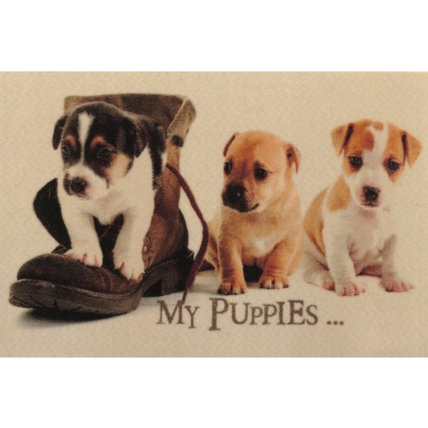 CaliCosy Deurmat voor puppy's l60 x b40 cm