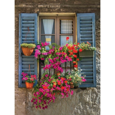 Blue Shutters 50x70cm Tuinschilderij Customize-it - Customize it