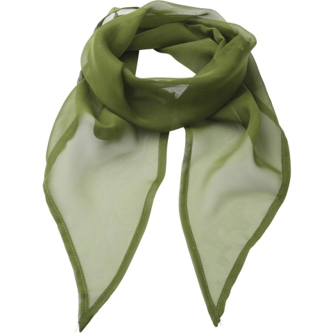 Premier Dames/vrouwenwerk Chiffon Formele Sjaal (Oase Groen)