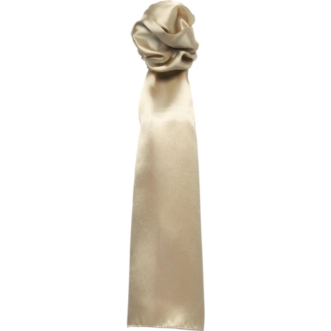 Premier Sjaal - Dames/vrouwen Gewone Zakelijke Sjaal (Khaki)