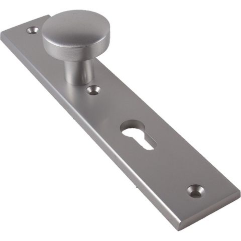 AMI Knop 169/50 Vast Langschild 251/50/8 Blind R6,5 F1 - 323960