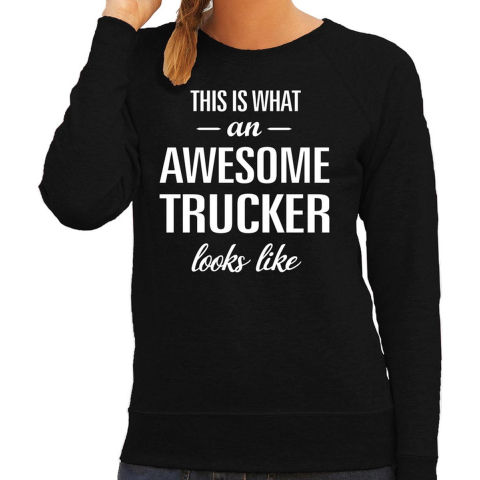 Awesome trucker / vrachtwagenchauffeusse cadeau sweater / trui z L -